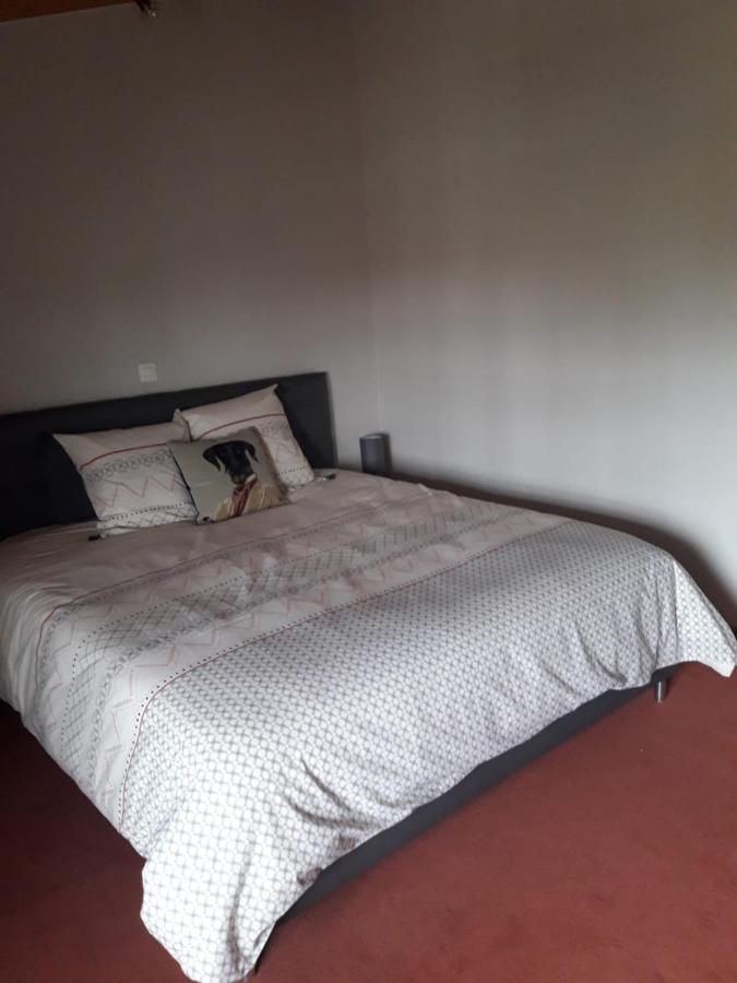 La Ferme Du Puits Carre Bed & Breakfast Lamasquere Ngoại thất bức ảnh